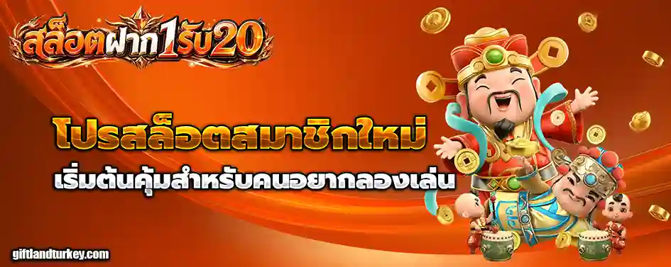 1รับ20ทํา50ถอน20